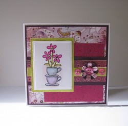 Tracy Cornhill used TEACUP DAISIES