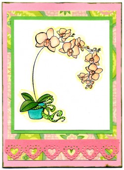Michelle Trotter used POT O' ORCHIDS for LULU