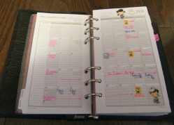 month view.. with japanese stickers to decorate and colored ink to stand out :)