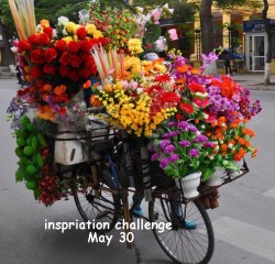 inspiration 6-May-30