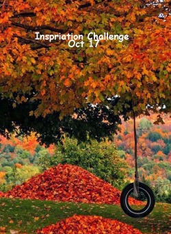 inspiration 11-Oct-17