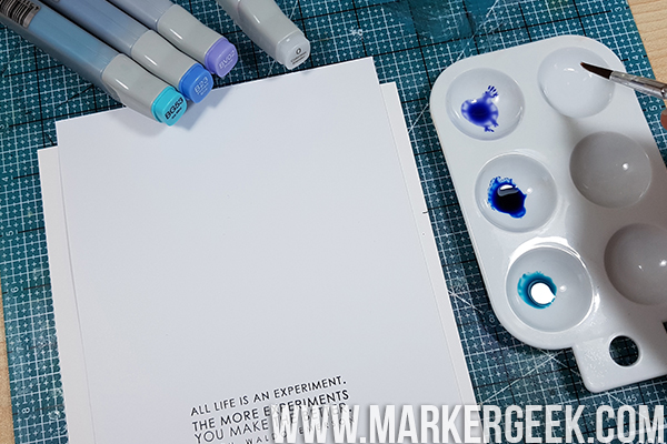 Stamping Bella Marker Geek Monday - Painting with Copic Various Ink Refills.