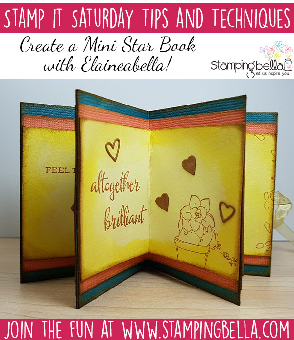 Stamping Bella Stamp It Saturday - Succulent Chick Star Book with Elaineabella