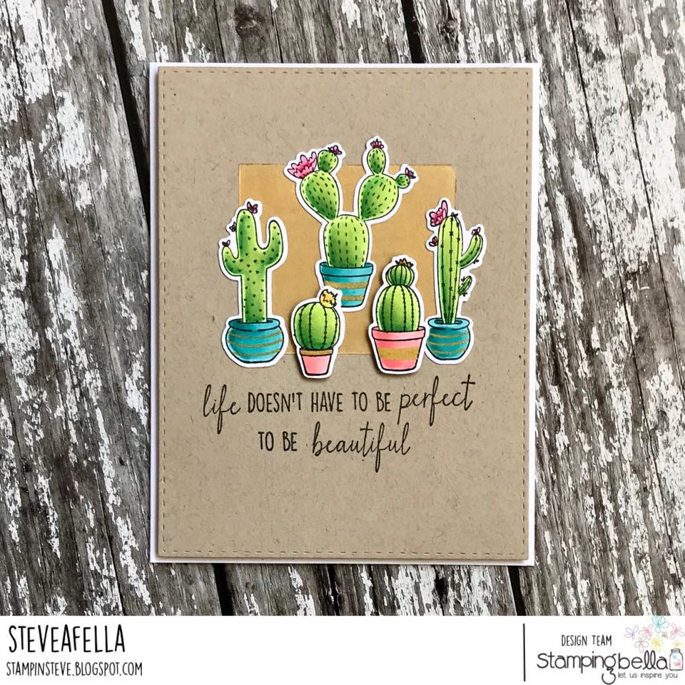 all stamps and CUT IT OUT dies are available at www.stampingbella.com- Stamp used CACTI, card by STEPHEN KROPF