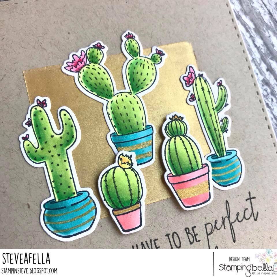 all stamps and CUT IT OUT dies are available at www.stampingbella.com- Stamp used CACTI, card by STEPHEN KROPF
