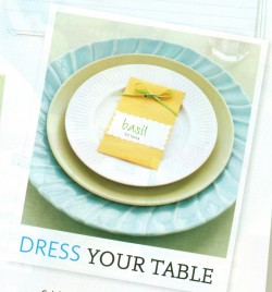 is that GORGEOUS or what?  HOW DO YOU DRESS YOUR TABLE?  if I could get away with paper plates, I would..LOL