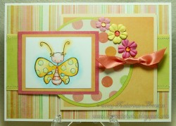 Kathy used PAPILLON KETTO