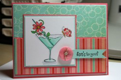 Kimberly Lowrey used SPRINGTINI