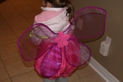 Jayden's WINGS (over the winter jacket..LOL)