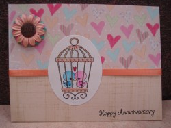 Tanya F. used ROMANTIC CAGE