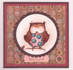 Karen D used BABOO'S OWL