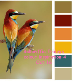 colour-inspiration-4---oct16 copy