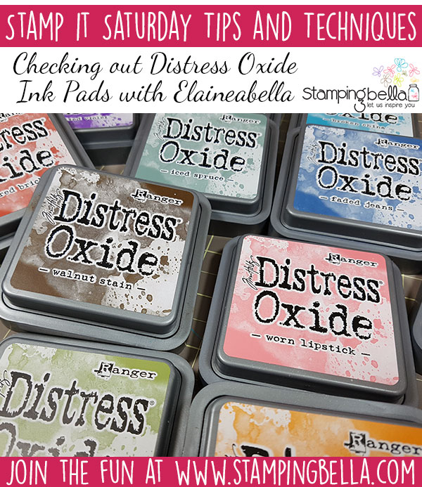 Stamping Bella - Stamp It Saturday - Check Out Distress Oxides with Elaineabella