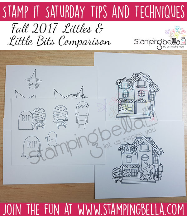 Stamp It Saturday: Littles & Little Bits Comparison (with colouring video)