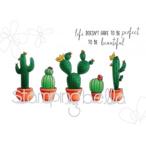 CACTI rubber stamps (set of 6 rubber stamps)