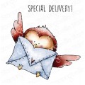 SPECIAL DELIVERY RUBBER STAMP (INCLUDES 1 SENTIMENT)