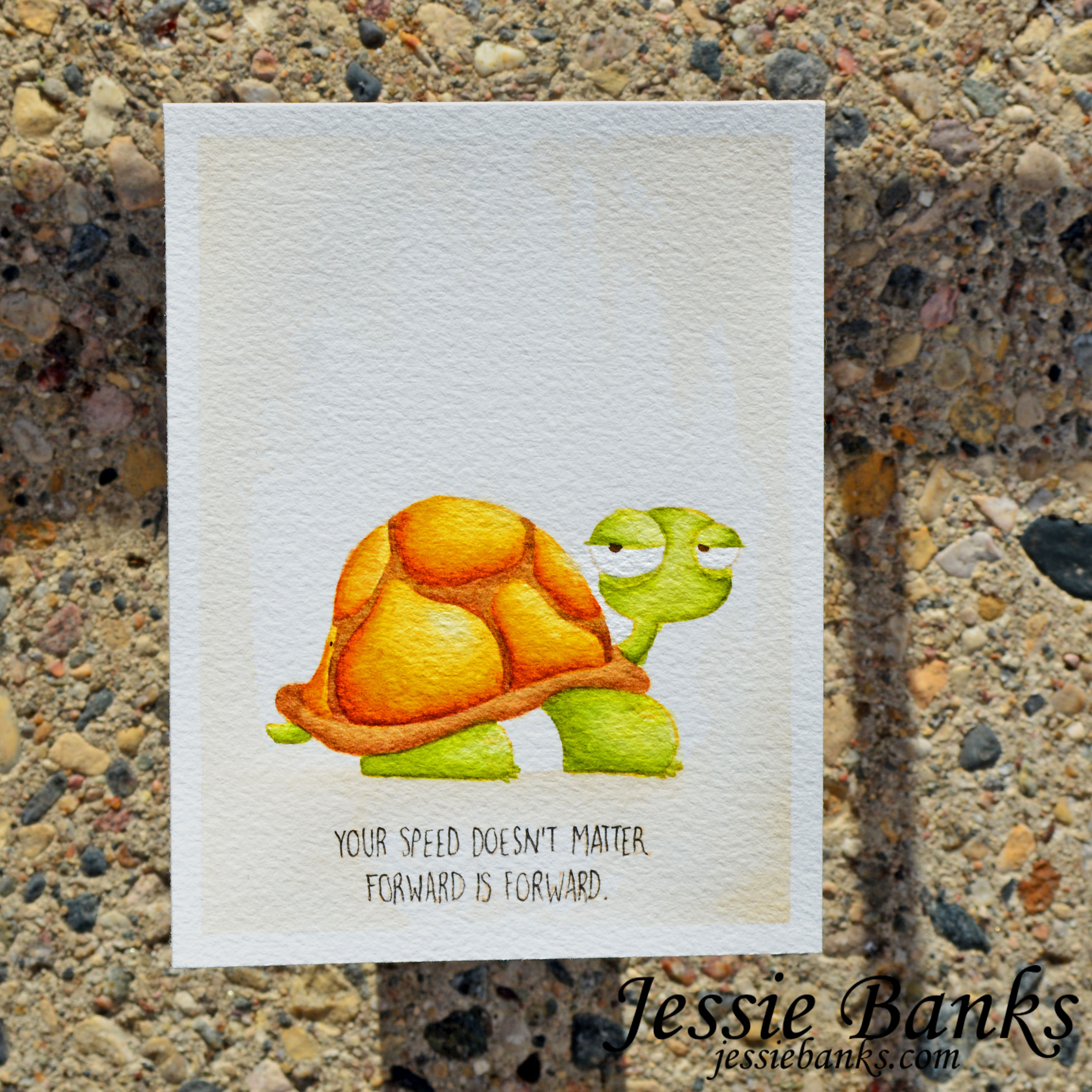 www.stampingbella.com: rubber stamp used: ODDBALL TURTLE.  Card by JESSIE BANKS