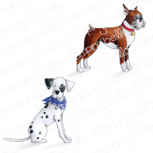 BOXER AND DALMATIAN RUBBER STAMP SET (includes 2 stamps)