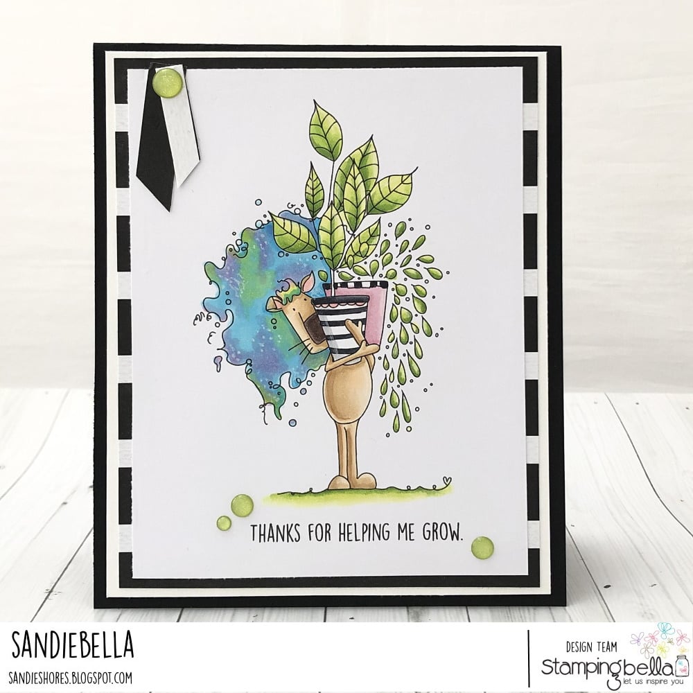 www.stampingbella.com: rubber stamp used PLANTY DANDY. card by Sandie Dunne