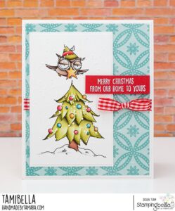 HOLIDAY OWL WITH A STAR RUBBER STAMP