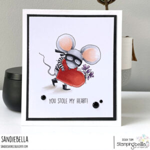 MOUSE BANDIT RUBBER STAMP (INCLUDES 1 SENTIMENT)