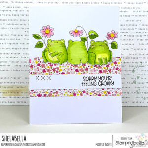 FROGGY SENTIMENT SET (includes 7 stamps)